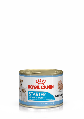 Starter Mother & Babydog (in loaf)
